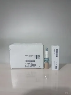 شمع خودرو پی اس ای کد 5960J2
